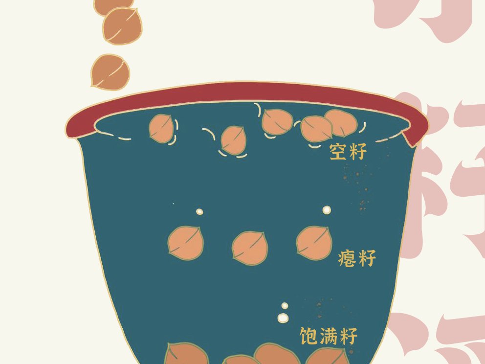 水籽浮选