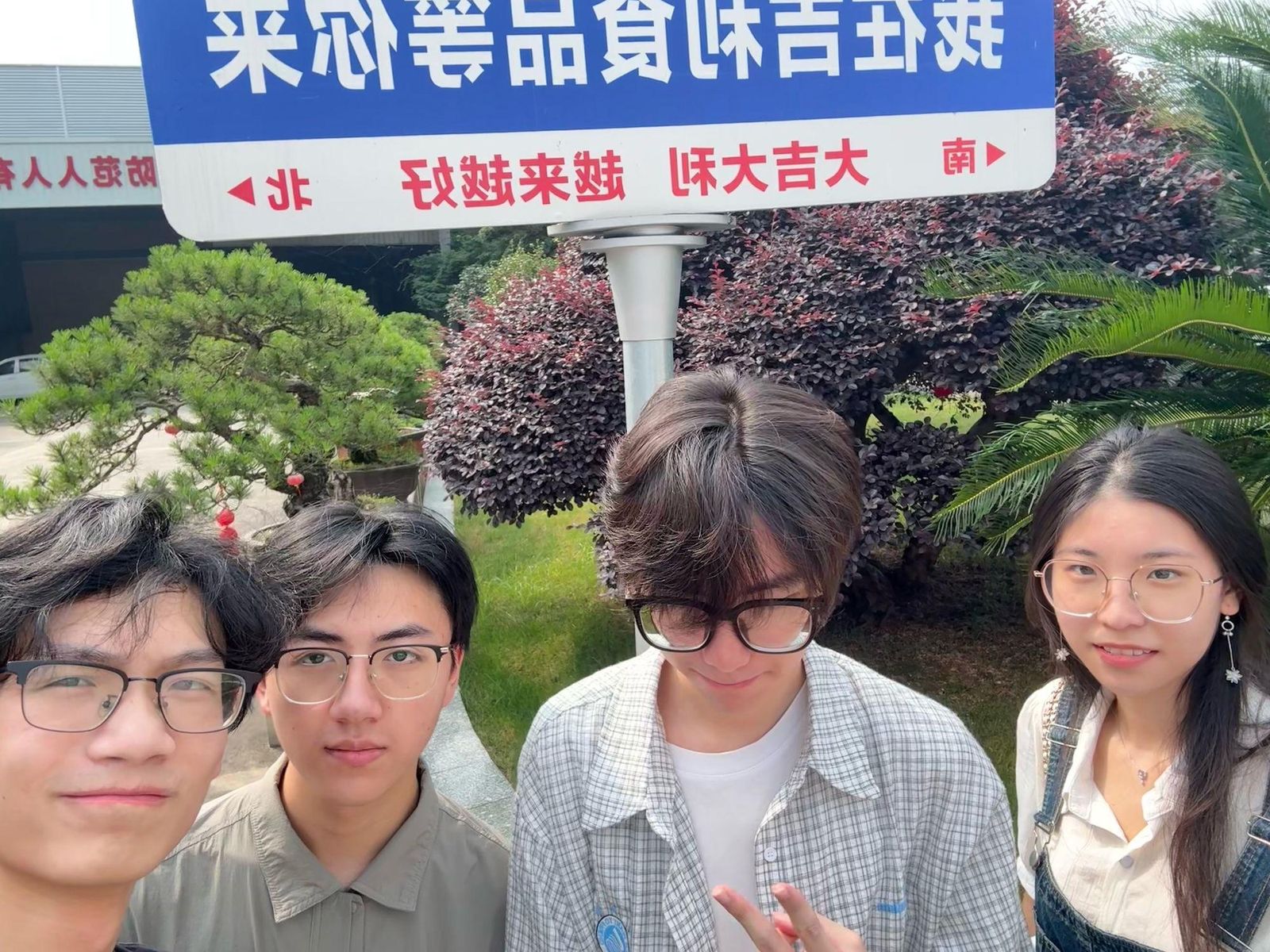 临安山核桃产业