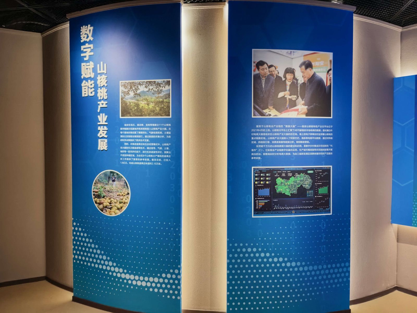 蓝色展板写的是「数字赋能」：11 个山核桃种植示范基地，以及林技推广、气象部门联动的数据平台。