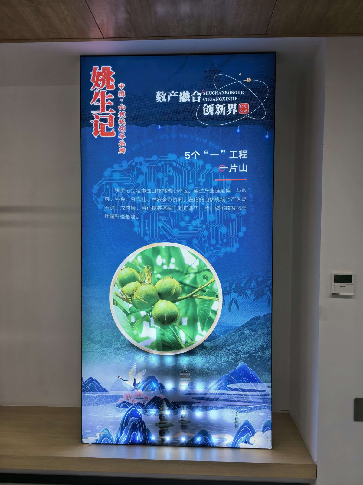 五个「一」工程之「e 片山」：在临安山核桃核心产区，携手政府、协会、合作社与林农共建数字化高质量种植基地。