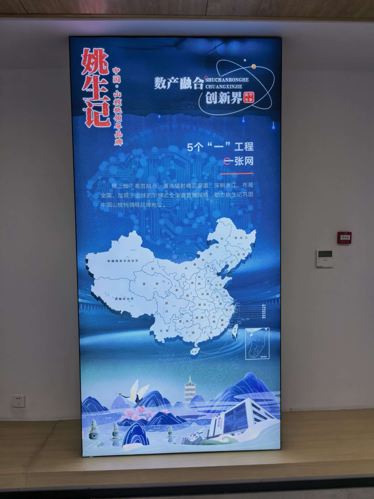 「e 张网」：线上线下融合的全渠道网络，从浙江铺向全国。