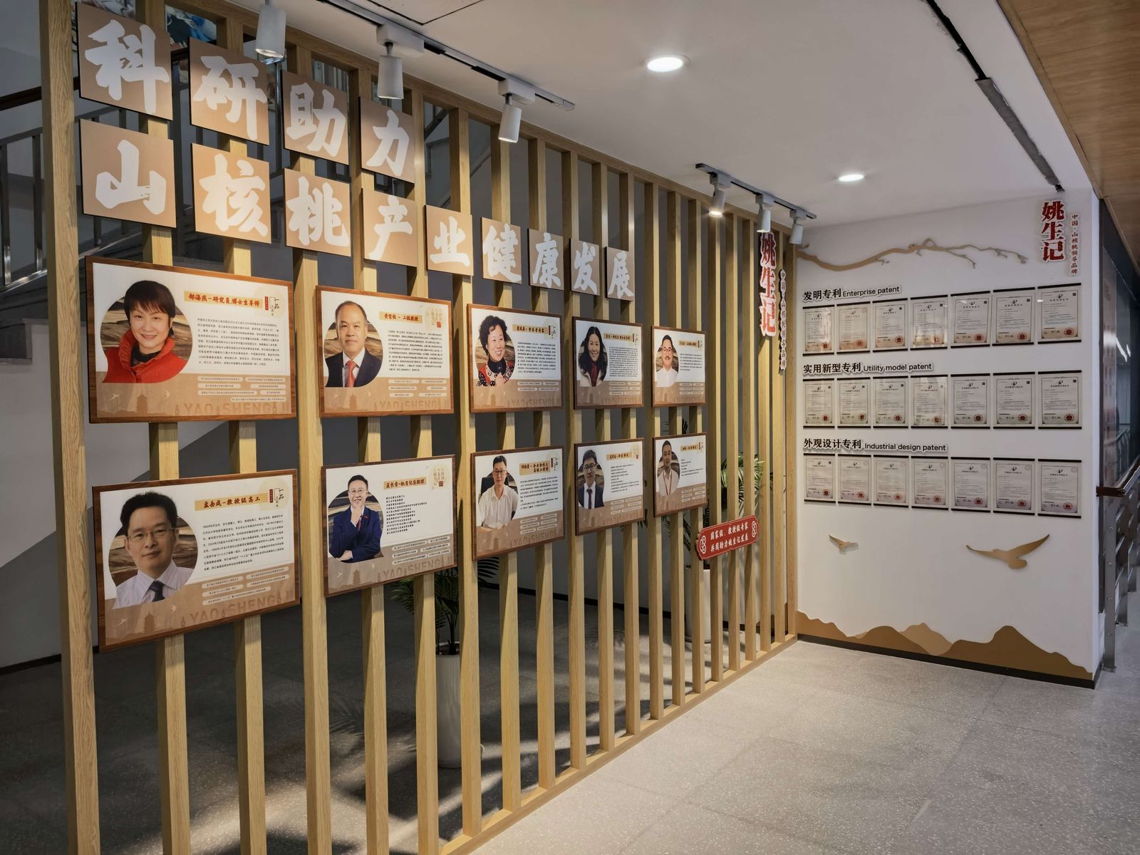 「科研助力山核桃产业健康发展」专家墙旁，发明专利、实用新型专利、外观设计专利的证书贴满三排。