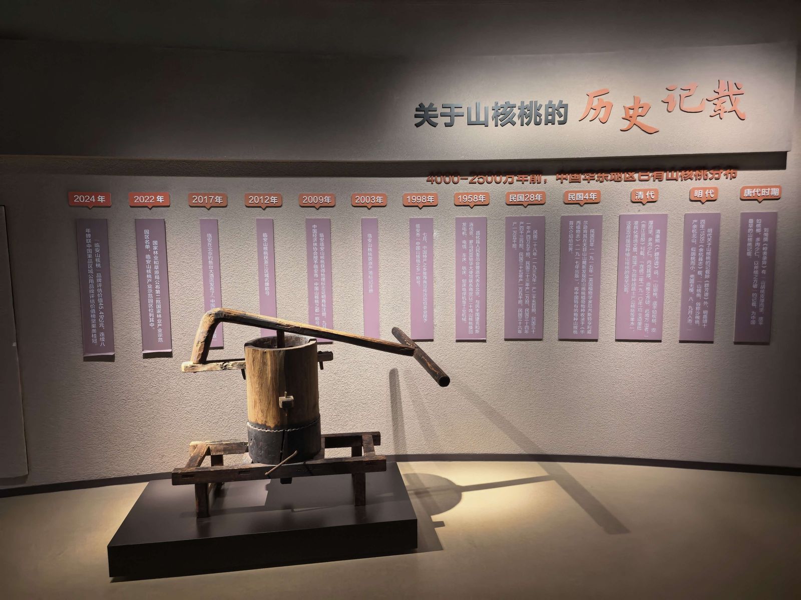 「关于山核桃的历史记载」——从唐代到 2024 年的时间轴下方，摆着一台老式木榨器具。