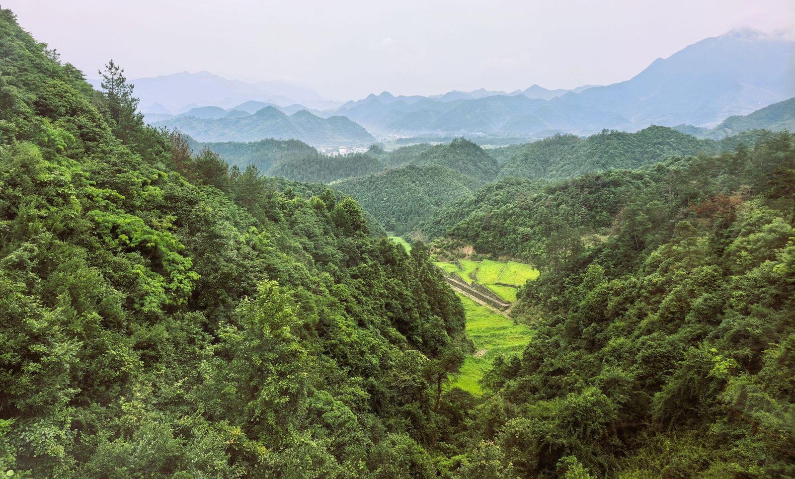 大明山
